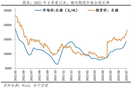 任泽平：当前或已进入新一轮猪周期的筑底上行期，未来涨幅取决于产能去化程度