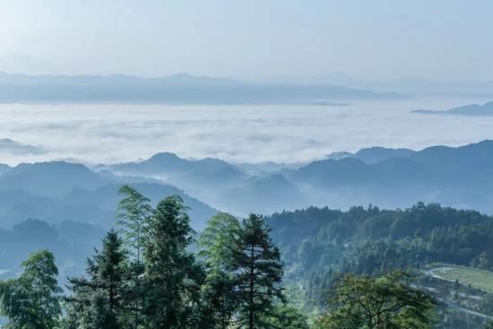 陈春花回应华为声明、博士学历、北大聘用过程等争议