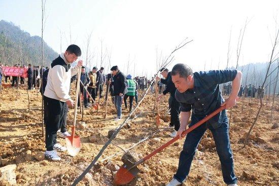 茅台集团董事长丁雄军参加新春植树，身穿运动服脚踏耐克鞋颇显年轻