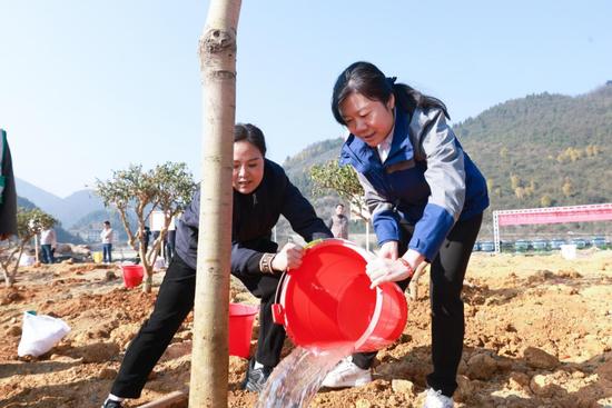 茅台集团董事长丁雄军参加新春植树，身穿运动服脚踏耐克鞋颇显年轻