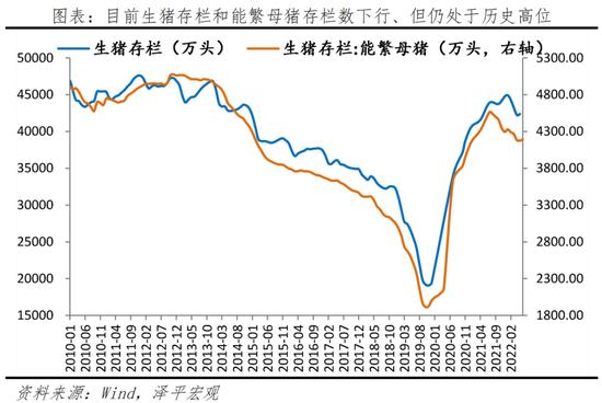 任泽平：当前或已进入新一轮猪周期的筑底上行期，未来涨幅取决于产能去化程度