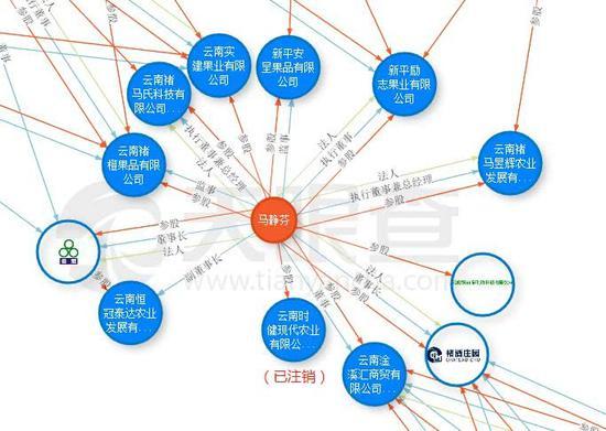 马静芬名下商业版图