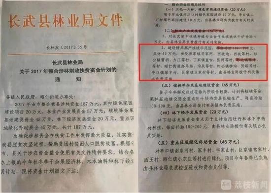 男子承包的上千棵核桃树被砍！村支书：村民自发砍的，村民：镇政府和村委会授意的！当地已成立调查组