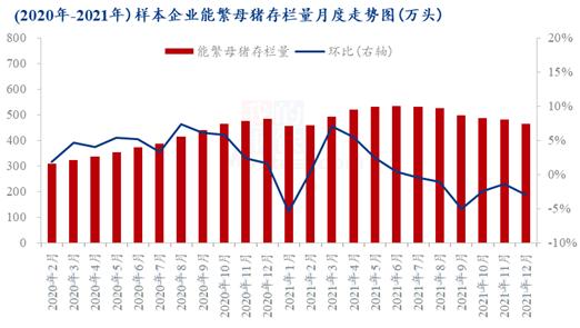 猪价8连跌猪肉股却逆势反弹 原因几何？