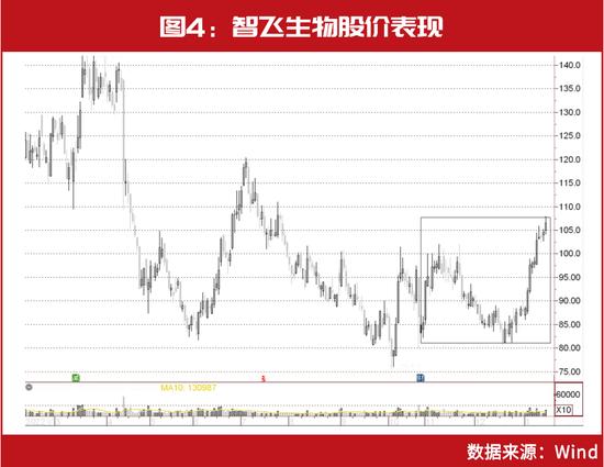 北上资金800亿“杀回马枪”！林园、葛卫东都有“所爱”，这些千亿白马股将有跨年布局机会？