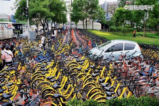 随着天气变暖,共享单车的使用会更普遍。图|CFP