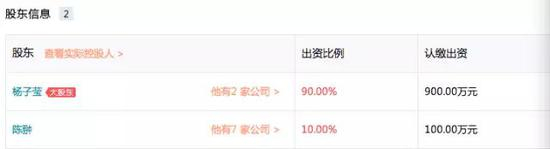 创源投资有两位股东—杨子莹、陈翀。