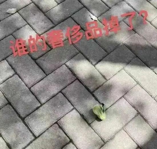 五个原因解读为什么不能“躺平”！网上买菜被拉黑？居家期间警惕诈骗新套路！