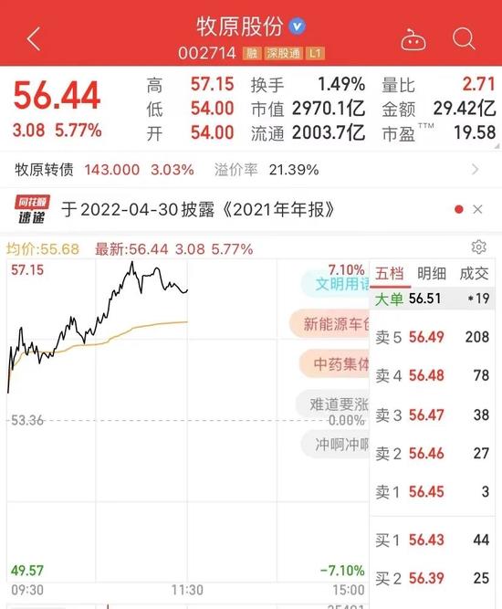 突然崩了！5000亿大白马暴跌10%，锂电光伏医疗半导体大跳水！这板块大爆发，狂掀涨停潮！超3000只股上涨！