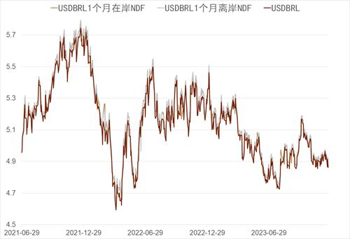 中金：新兴国家货币手册——巴西雷亚尔