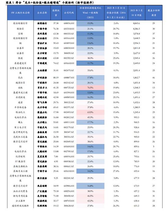 华安策略：2023年如何追求“稳稳的幸福”？细分行业龙头+低估值+稳业绩增速（附标的池）