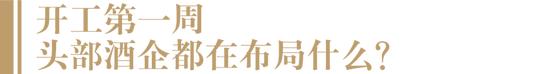 2023年怎么干？茅台、五粮液、汾酒、习酒、郎酒这么说