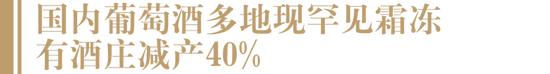 部分葡萄酒产区现极端气候，有酒庄减产40%