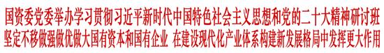 国资委党委举办学习贯彻习近平新时代中国特色社会主义思想和党的二十大精神研讨班