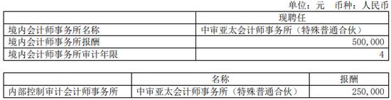 又一家审计机构发现上市公司财务造假，虚假银行对账单及银行回函，货币资金存疑