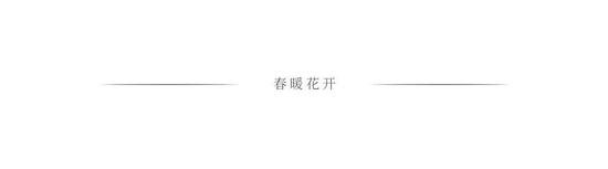 陈春花回应华为声明、博士学历、北大聘用过程等争议