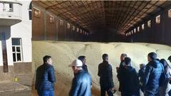 西线第三天：黑龙江各地大豆受灾差异明显 谨慎看好后市