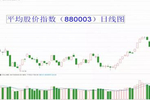 上海医药将股票期权由2568万份调整为2560万份