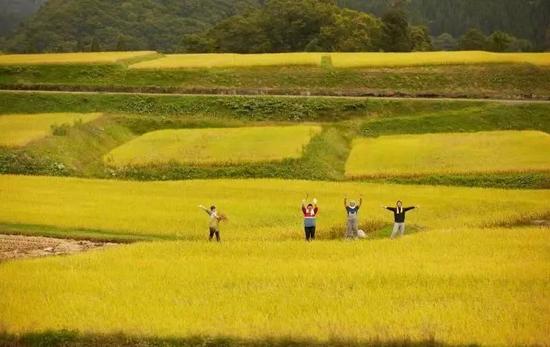 关于日本农村金融对“金融助力乡村振兴”的思考