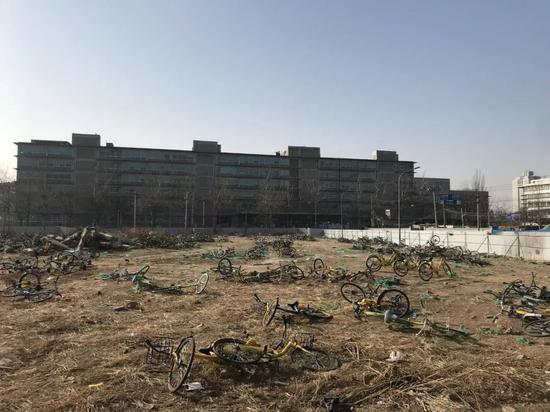 上地单车坟场残存的由你单车和小黄车。