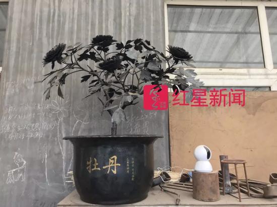 ▲牛祺圣最得意的作品是一盆铁牡丹 来源:红星新闻