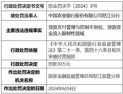 农业银行怒江分行、兰坪白族普米族自治县支行共计被罚50万元：违规发放虚假按揭贷款等