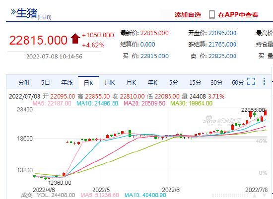 快讯：生猪期货日内大涨近5%，刷新前期高点