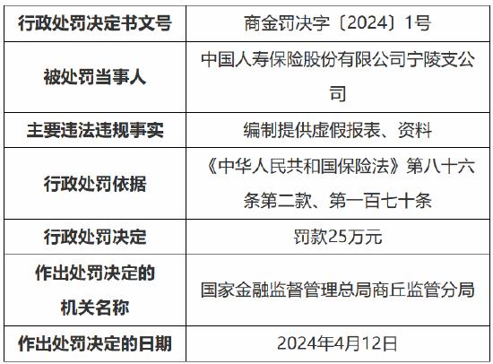 因编制提供虚假报表、资料 国寿寿险宁陵支公司被罚25万元