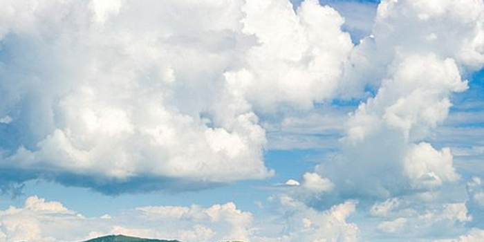 新榨季内蒙古甜菜糖增产压力大