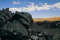 大公国际：煤炭行业2020年信用风险展望
