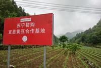 两会代表建议：苏宁张近东建言农村C2M生产基地建设