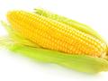 美国玉米库存同比增长13%，春播玉米种植面积将减少5%