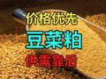 【中粮视点】豆菜粕：价格优先，供需靠后