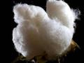 棉花-下游季节性淡季明显，棉纱市场延续弱势