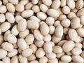 拉尼娜现象的强度预期减弱，对阿根廷大豆有利