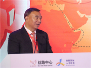 宋志平：企业“走出去”如何走深走长走远