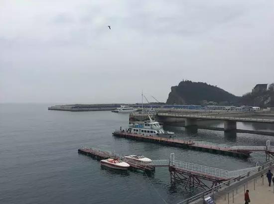 存量项目周边大多留有充足改建扩容空间,图为大连老虎滩拟开发的填海用地