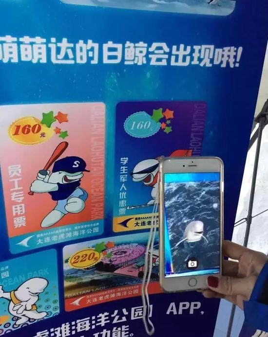 虎滩智慧园区打造进行中,下载APP扫描图片会有萌萌哒白鲸出现哦!