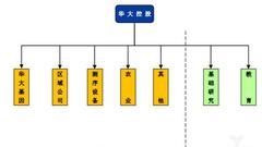 华大基因与华大控股之间有什么关联？