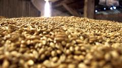 豆粕期货具有开展期权交易的比较优势