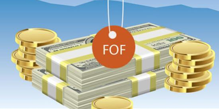 广发基金王颂:FOF管理的核心是资产配置