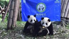 熊猫绿能路演：提供全球领先的生态发展解决方案