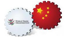国际贸易形势保持乐观 峰会为企业提供分享平台