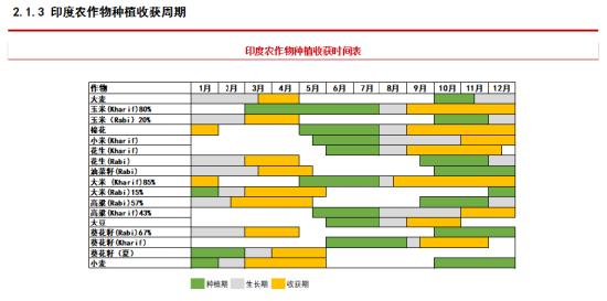 中信期货吴静雯：全球棉花种植情况介绍