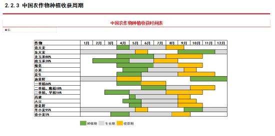 中信期货吴静雯：全球棉花种植情况介绍