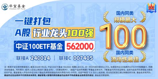 沪指站上2900点！核心资产全线回暖，中证100ETF基金（562000）劲涨超2%！机构：8月市场或迎来转机