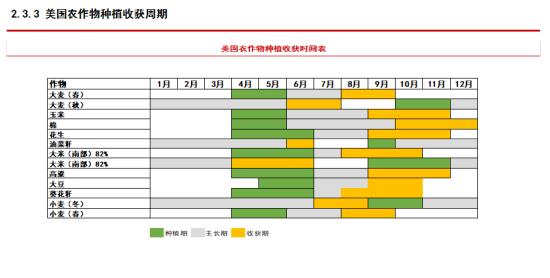 中信期货吴静雯：全球棉花种植情况介绍