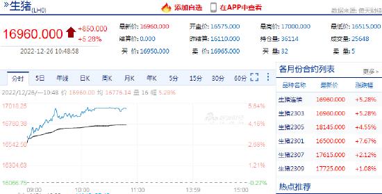 快讯：生猪期货主力合约涨超5% 当前报价16960元/吨