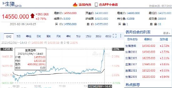 快讯：生猪期货主力合约尾盘快速拉涨，日内涨超3%