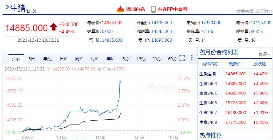 快讯：生猪期货主力合约日内涨超4%